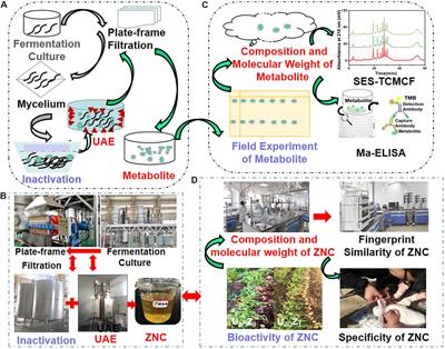 A Technical System for the Large-Scale Application of Metabolites From Paecilomyces variotii SJ1 in Agriculture